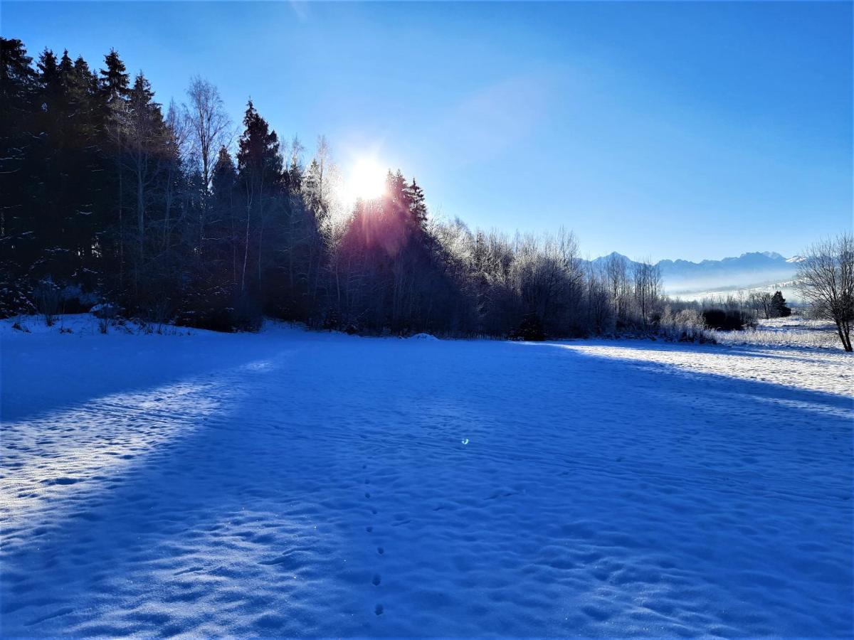 Czarna Góra Pokoje U Teresy المظهر الخارجي الصورة